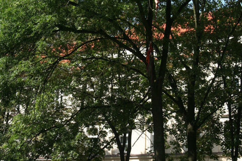 Lublin Urban Highline_7