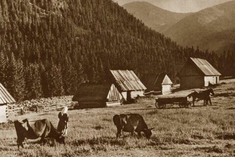 Zakopane i Tatry na starych fotografiach
