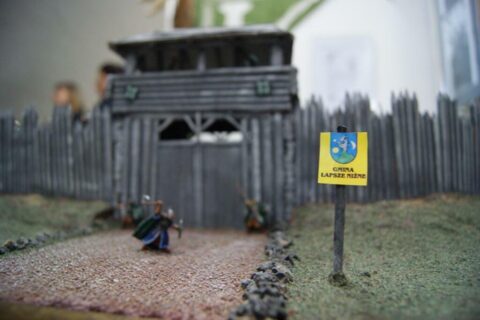 Pokaz walk i rzemiosła Wikingów_6