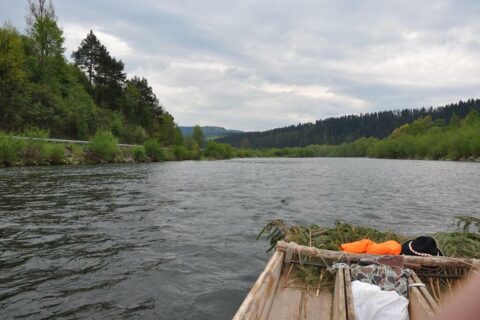 Czerwcowa wycieczka w Pieniny_3