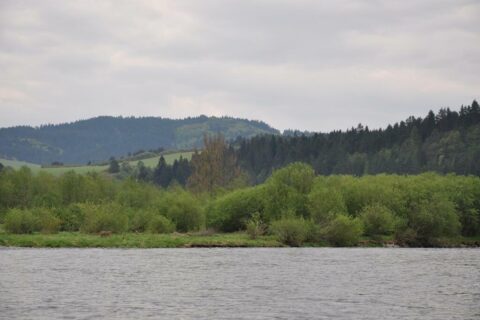 Czerwcowa wycieczka w Pieniny_5