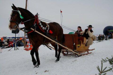 Góralski Karnawał - dzień 5 - kumoterki_14