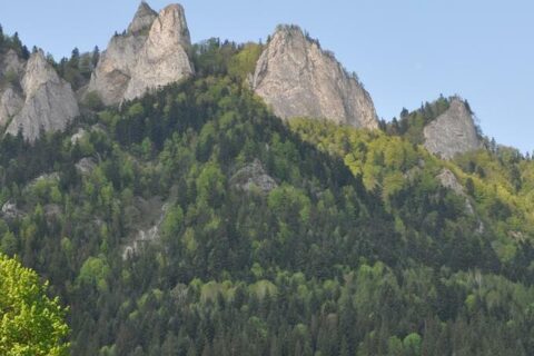 Czerwcowa wycieczka w Pieniny_21
