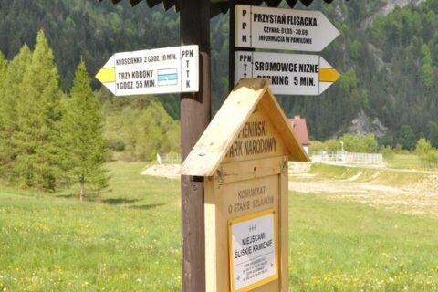 Czerwcowa wycieczka w Pieniny_22