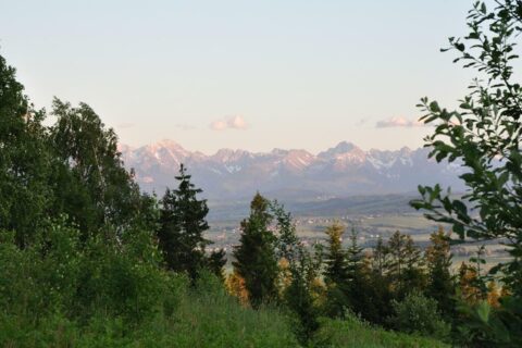 Wycieczka w Gorce - widoki na Tatry_15