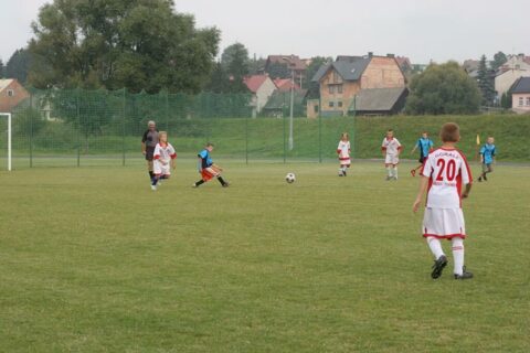 Festyn Miejskiego Młodzieżowego Klubu Sportowego_34