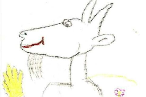 Koziołek Matołek _11