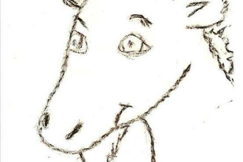 Koziołek Matołek _15