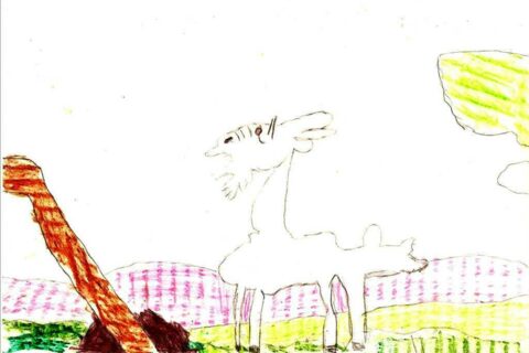 Koziołek Matołek _27