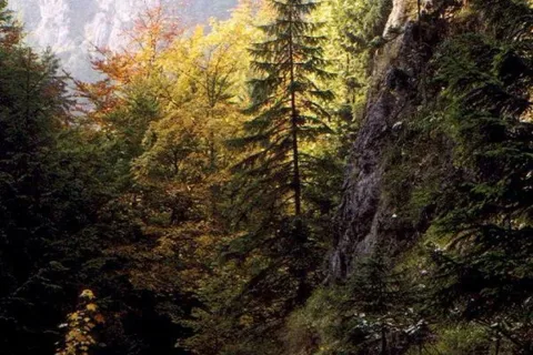 Jesienna Dolina za Bramką