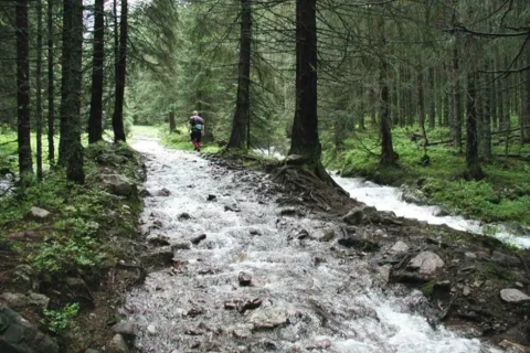 Tomanowa