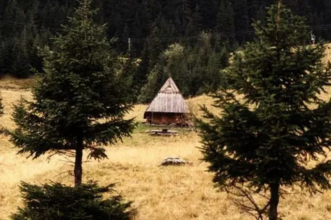 Polana Kalatówki