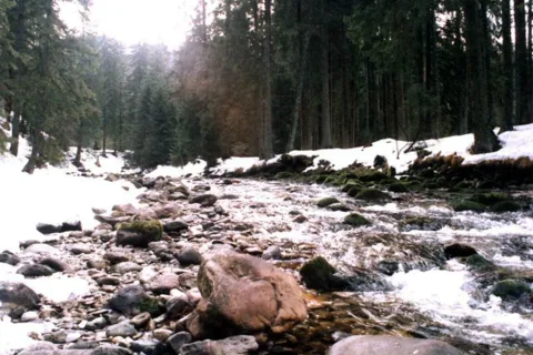 Dolina Kościeliska