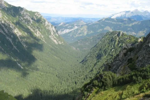 Dolina Roztoki