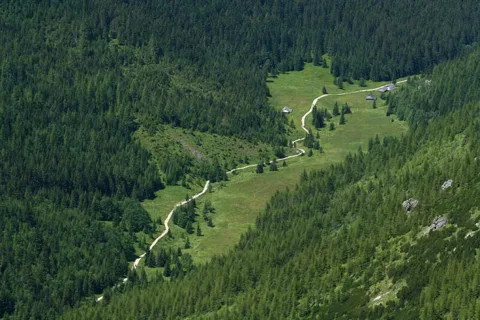 Jaworzynka