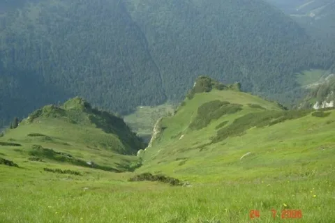 Dolina Cicha - widok z Czerwonych Wierchów