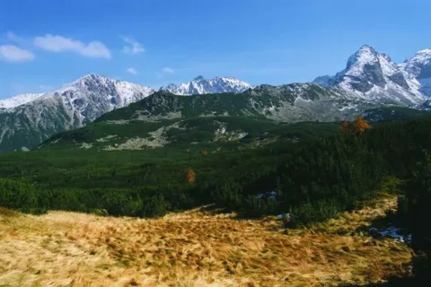 Dolina Gąsienicowa