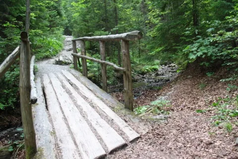 Dolina Za Bramką