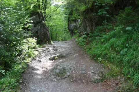 Brama