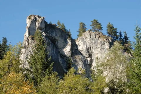 Dolina Chochołowska