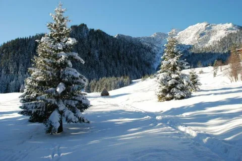 Dolina Kondratowa
