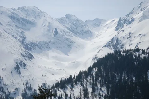 Dolina