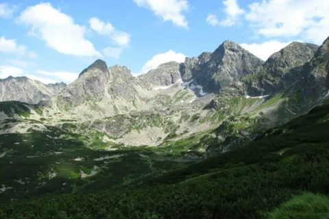 widoczek 3