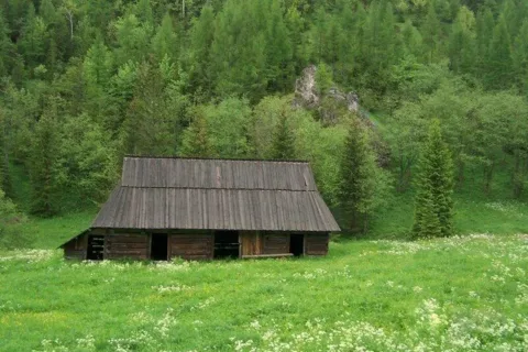 W Dolinie Jaworzynki