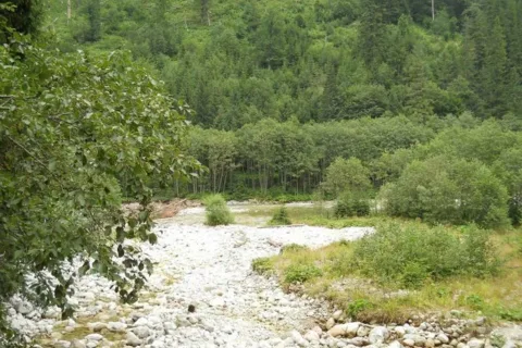 Dolina Rybiego Potoku