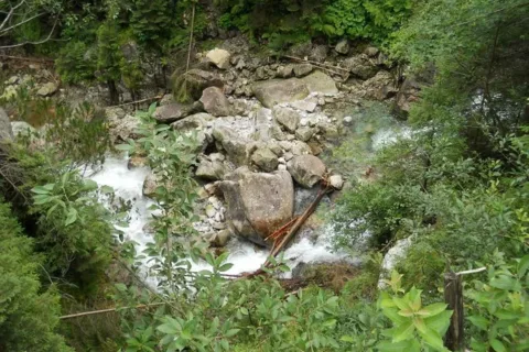 Dolina Rybiego Potoku