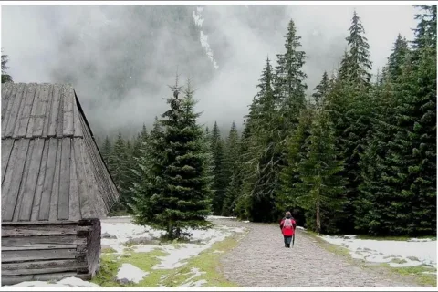 Spacerkiem w dolince
