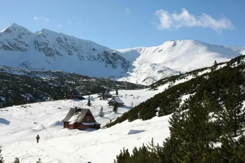 Hala Gąsienicowa