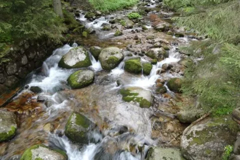 dolina suchej wody