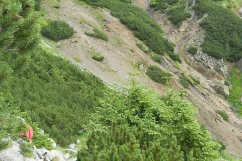 Dolina Tomanowa