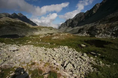 Dolina Staroleśna