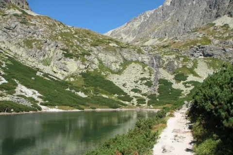 Wielicki Staw