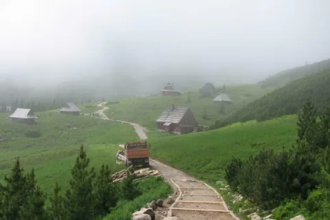 Hala Gąsienicowa