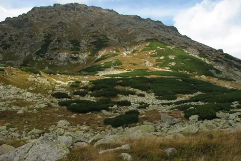 Kozi Wierch