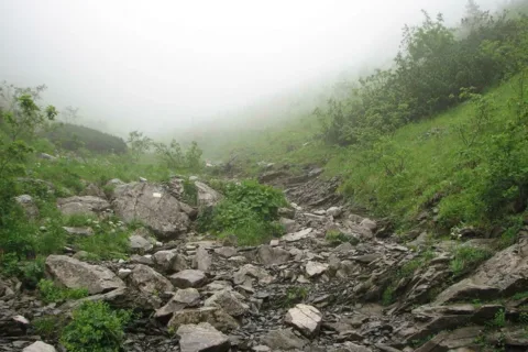 Dolina Małej Łąki