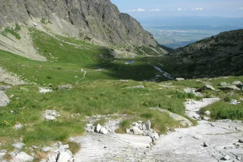 Wielicki Ogród