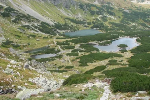 Zielona Dolina Gąsienicowa