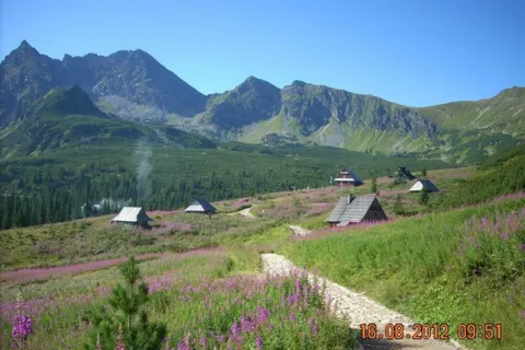 Murowaniec blisko