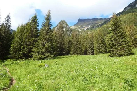 Jaworowa Polana