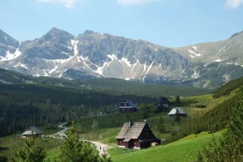 Hala Gąsienicowa
