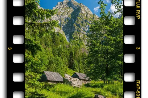 Polana