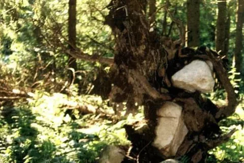 Tragarz kamieni