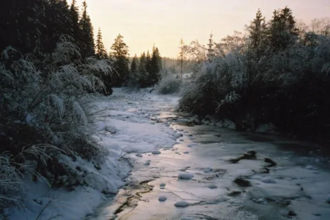 Małe Ciche