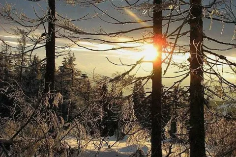 Gorce