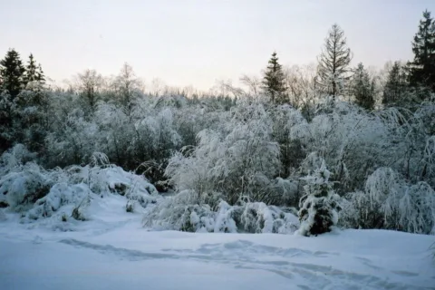 Małe Ciche IV