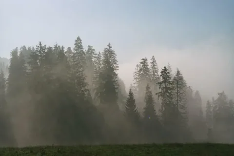 mgliście...